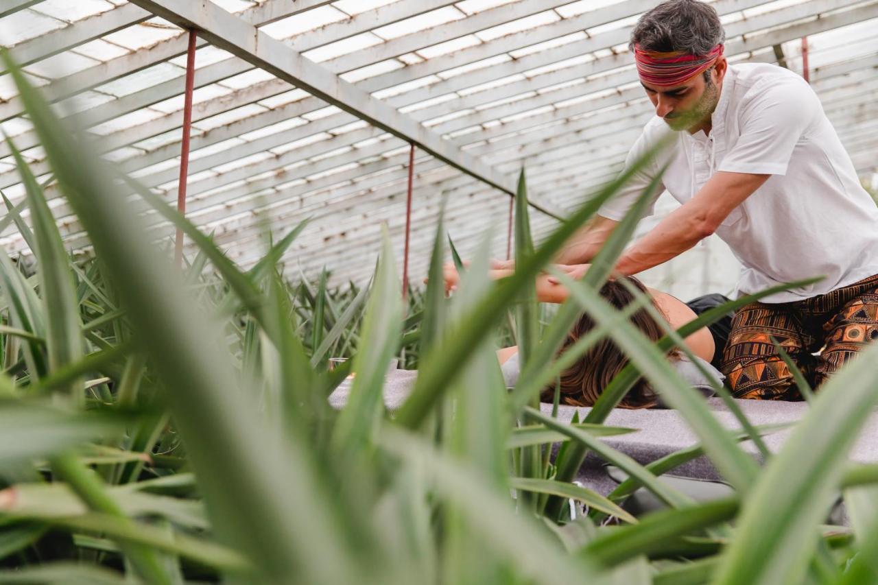 Herdade Do Ananas Ponta Delgada Extérieur photo
