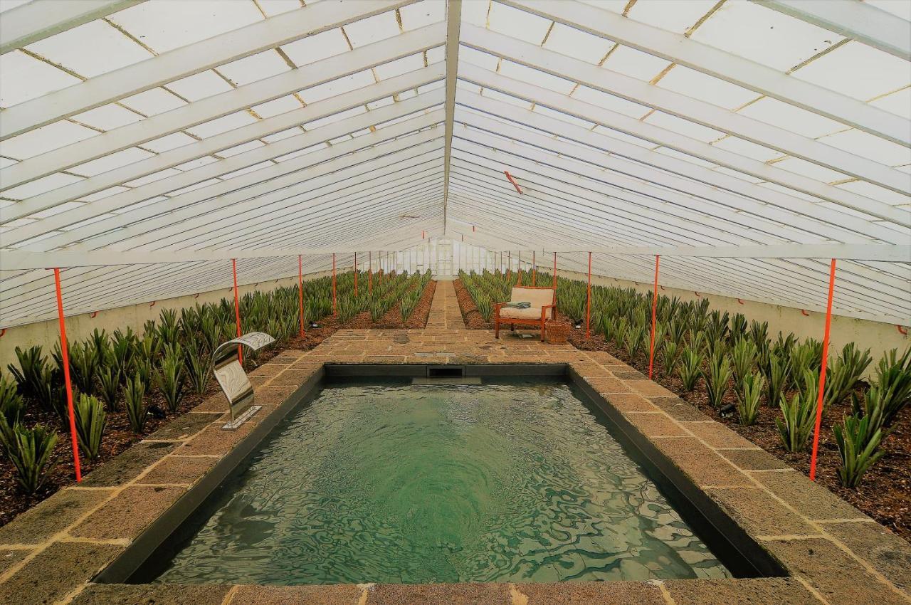 Herdade Do Ananas Ponta Delgada Extérieur photo